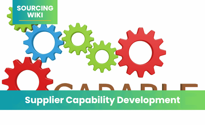 Supplier Capability Development